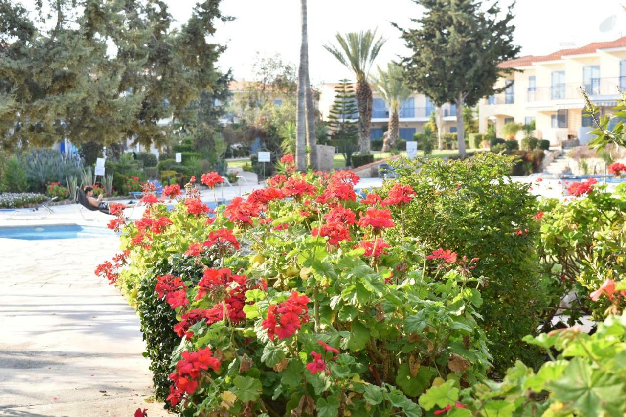 Apartment Paradise Gardens Mediterranean *